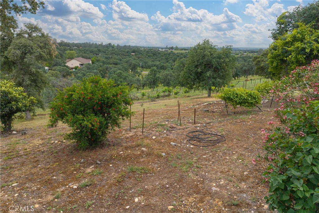 150 Whitney Court Property Photo 37