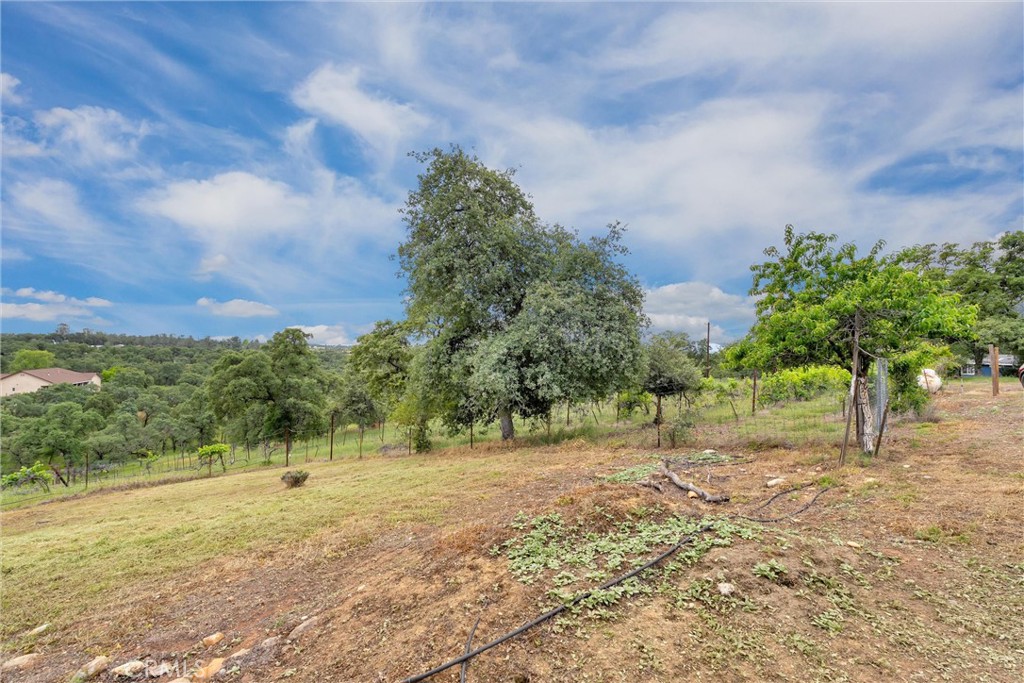 150 Whitney Court Property Photo 42