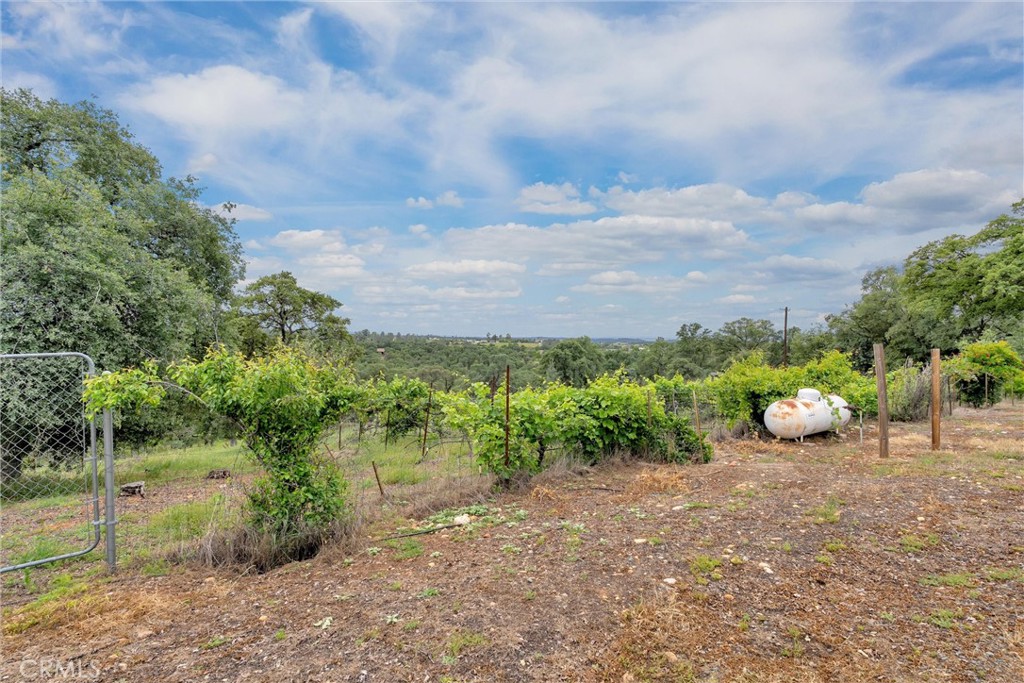 150 Whitney Court Property Photo 45