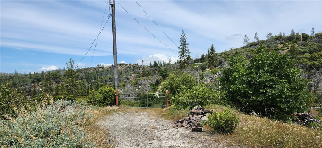 130 Canfield Drive Property Photo 39