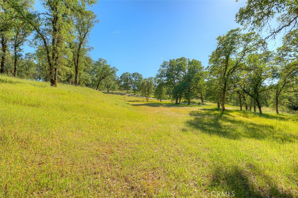 105 Silver Bar Drive Property Photo 45