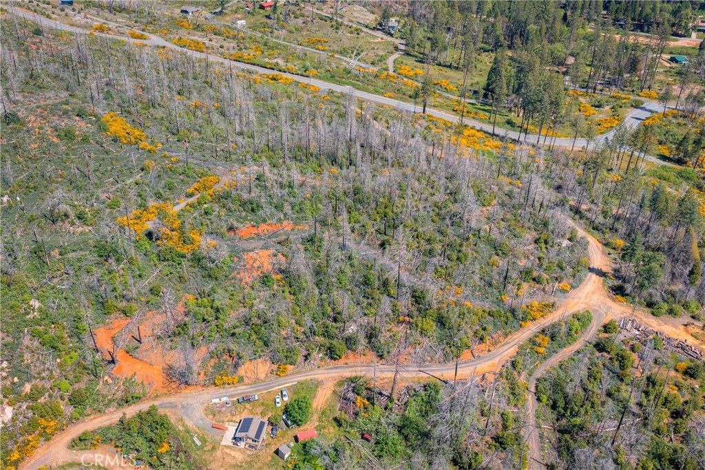 0 Pavlik Pines Road Property Photo 4