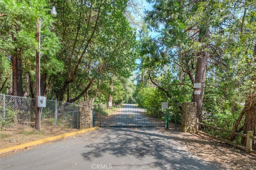 0 Pavlik Pines Road Property Photo 10