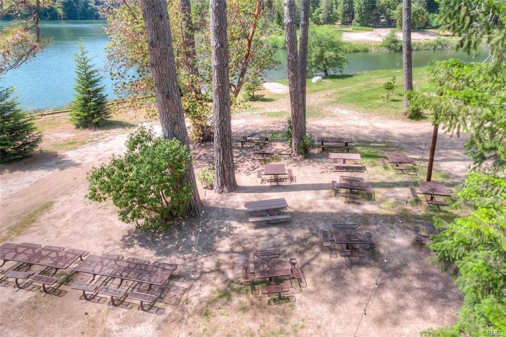 0 Pavlik Pines Road Property Photo 13