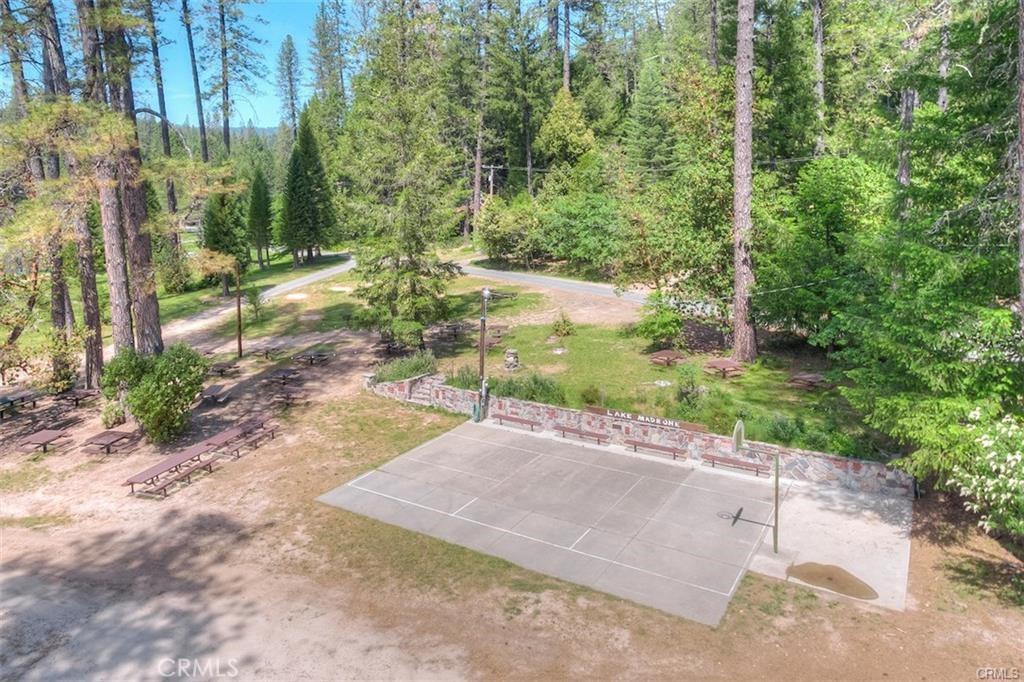 0 Pavlik Pines Road Property Photo 15