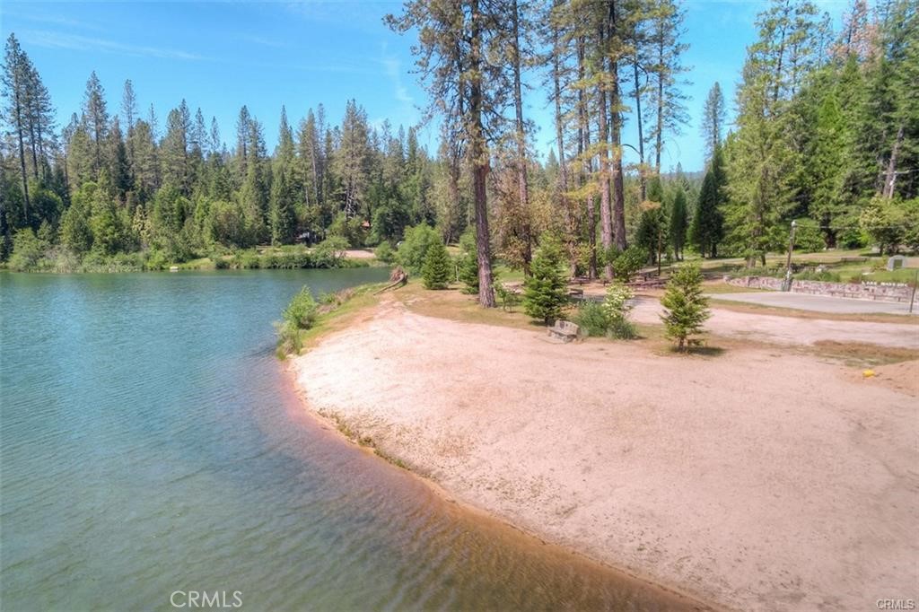 0 Pavlik Pines Road Property Photo 17
