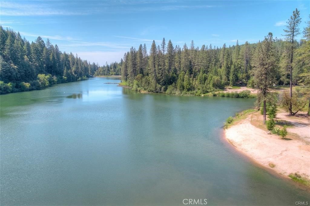 0 Pavlik Pines Road Property Photo 18
