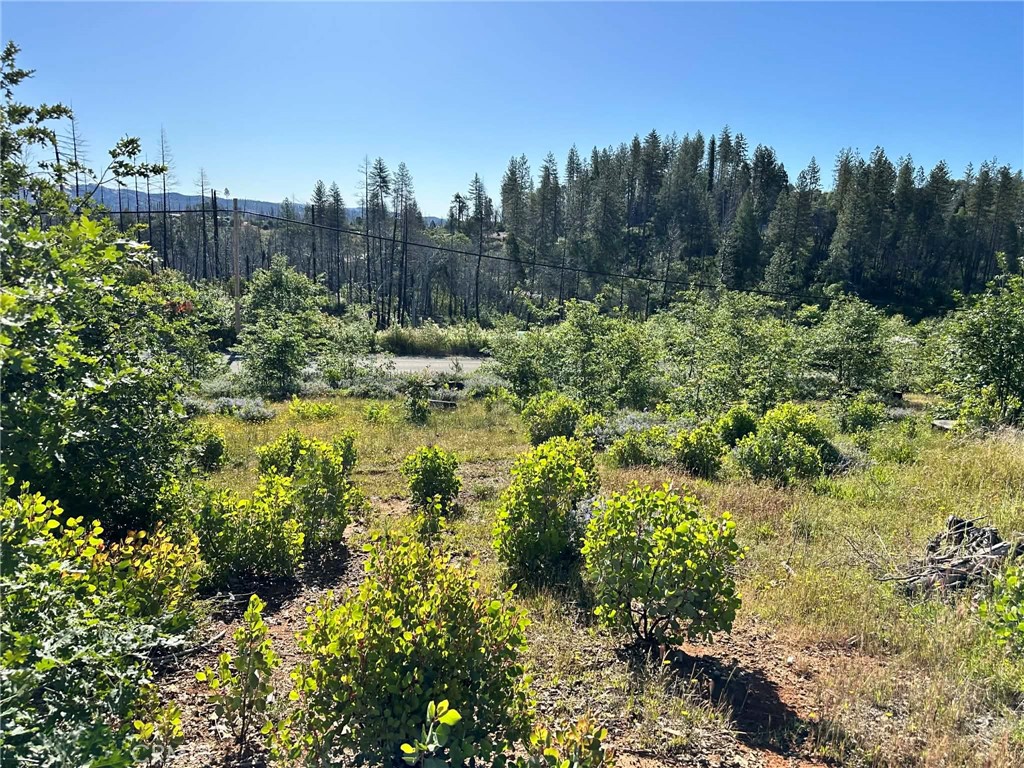 0 Katella Property Photo 1