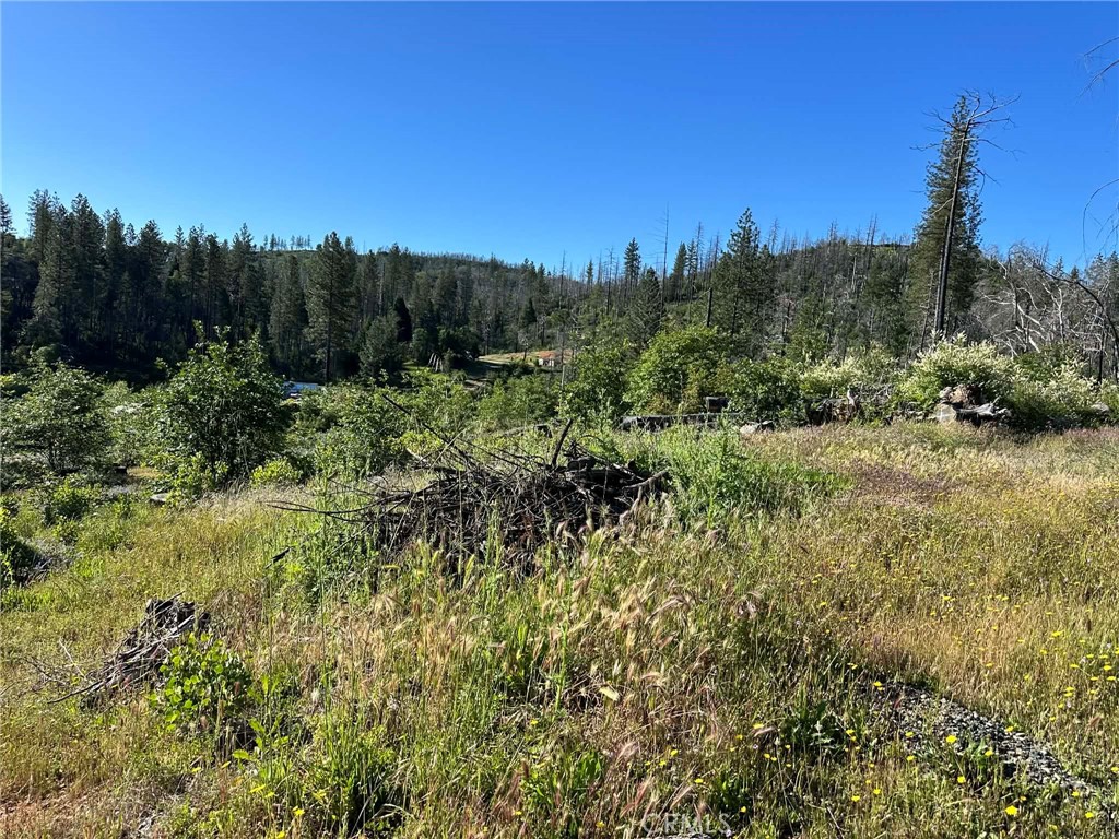 0 Katella Property Photo 2