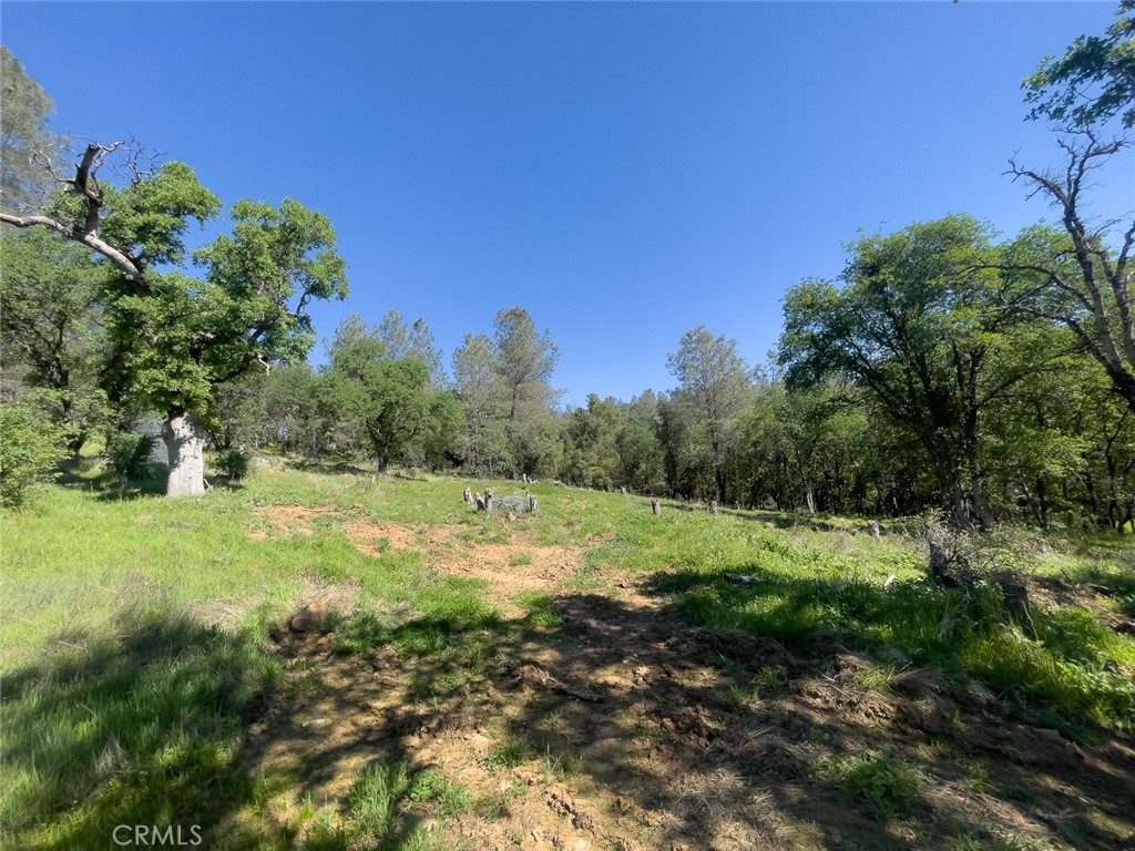 0 Berwick Lane Property Photo 3