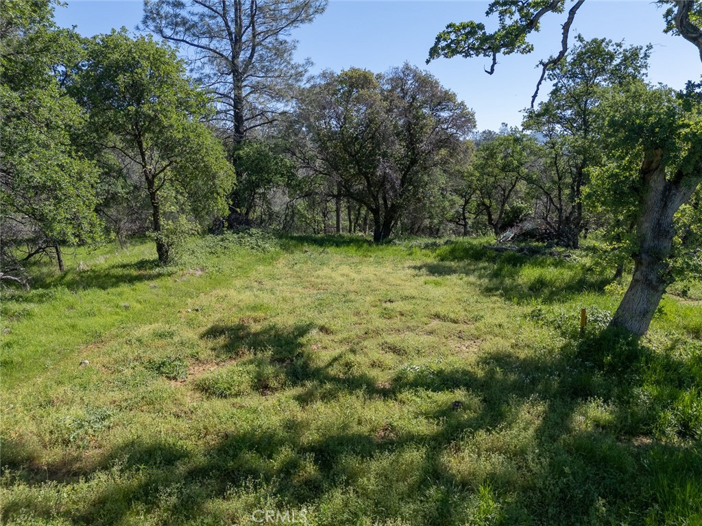 0 Berwick Lane Property Photo 11