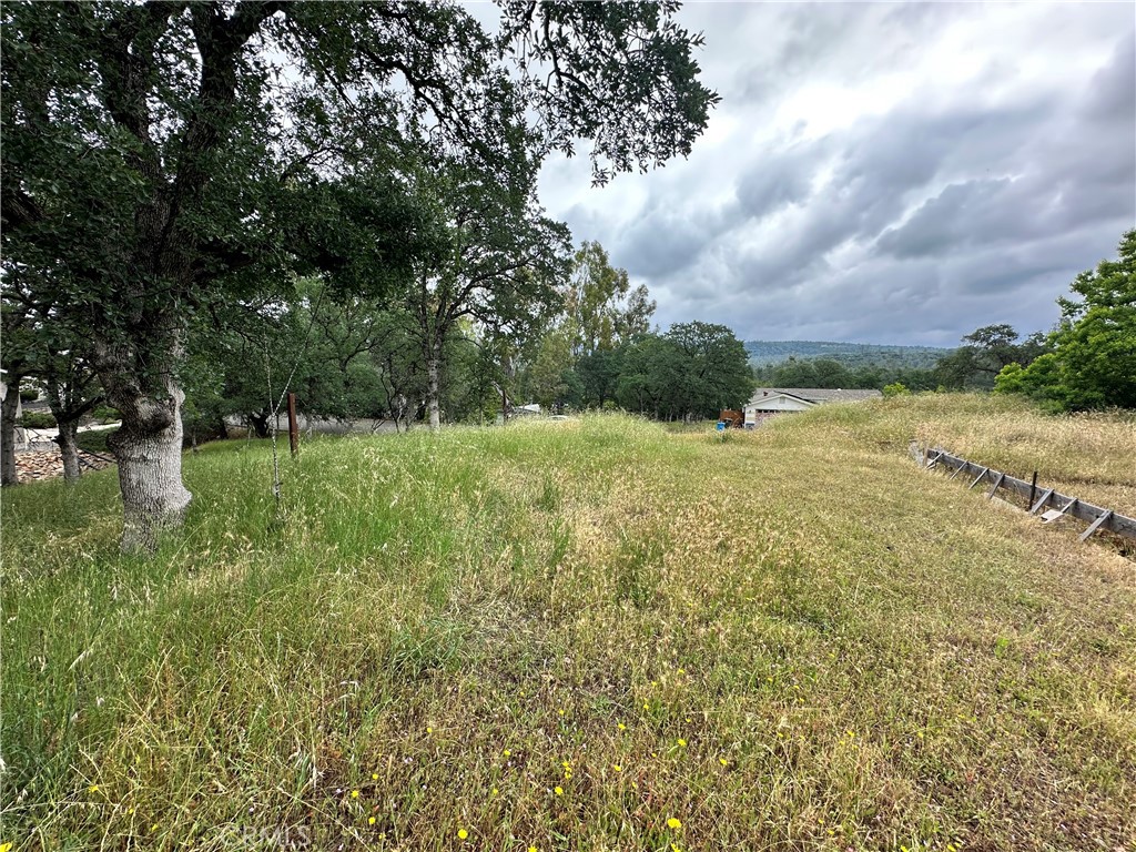 585 Lodgeview Property Photo 6