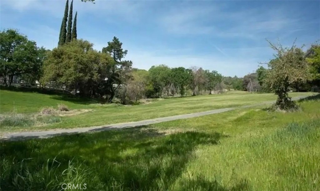 517 Silver Leaf Property Photo 5