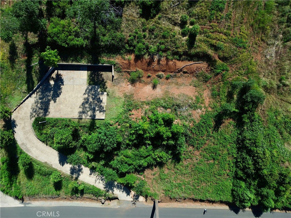 1975 Stearns Road Property Photo 4