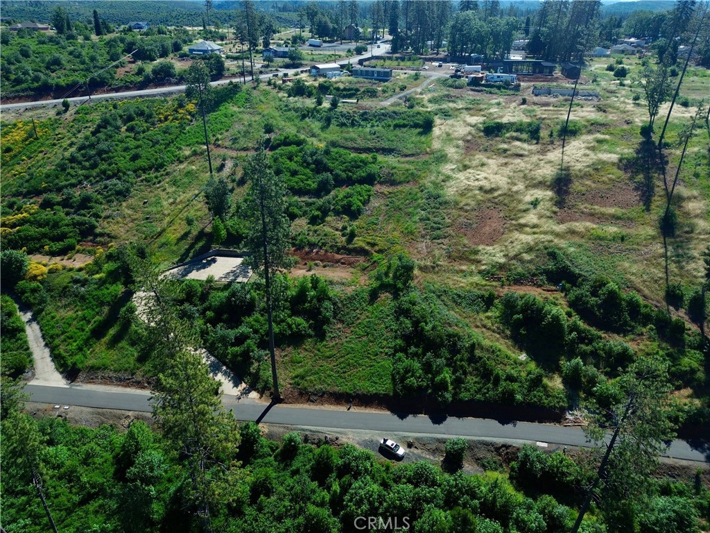 1975 Stearns Road Property Photo 10