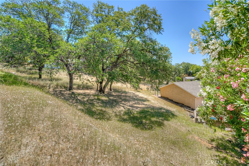 9 Chaparral Property Photo 15