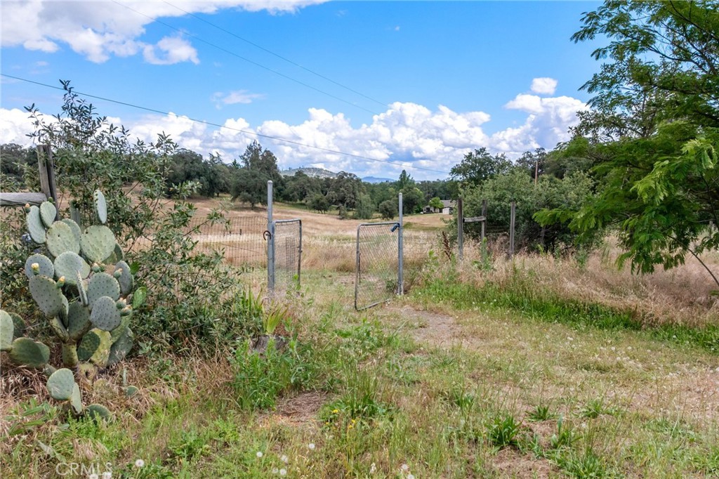5670 Clay Trail Property Photo 56