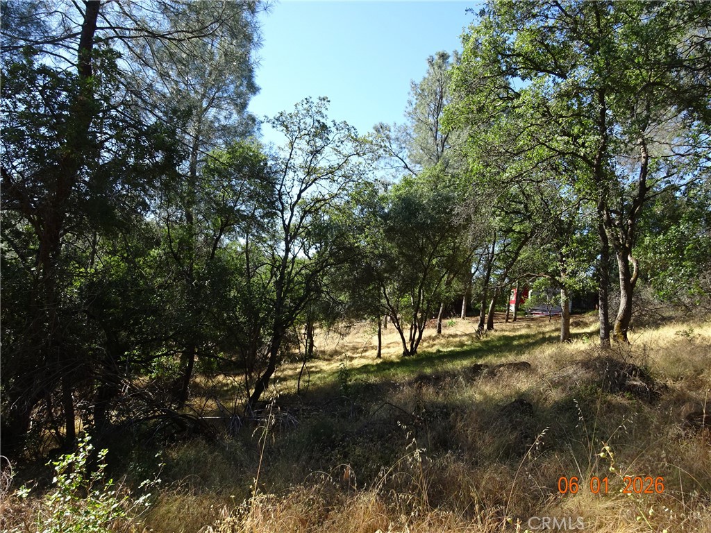 0 Pinemont Property Photo 4