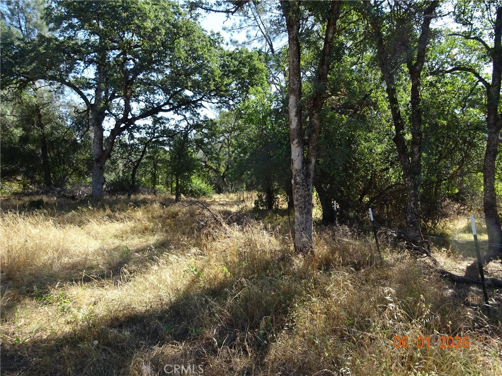 0 Pinemont Property Photo 6
