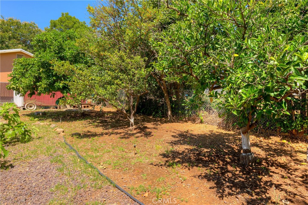 3050 Clemo Property Photo 31