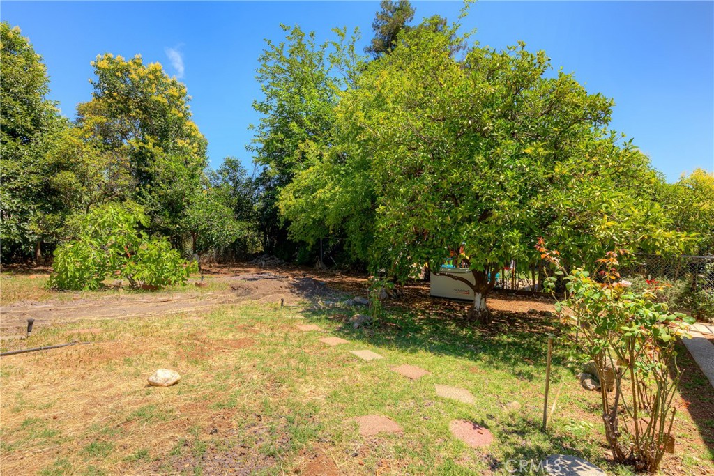 3050 Clemo Property Photo 32