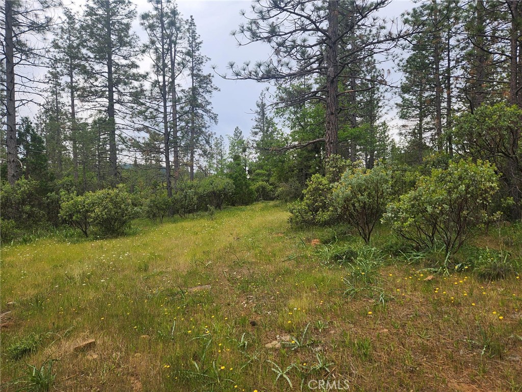 36 Allen Way Property Photo 21