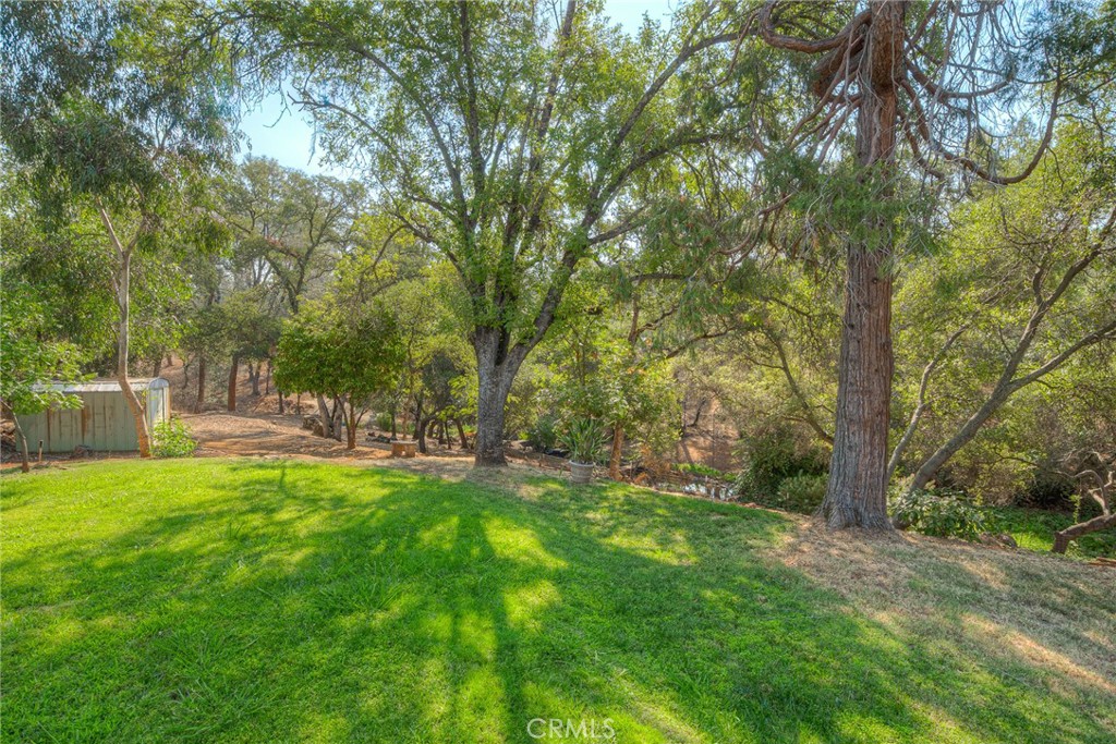 51 Ward Boulevard Property Photo 33
