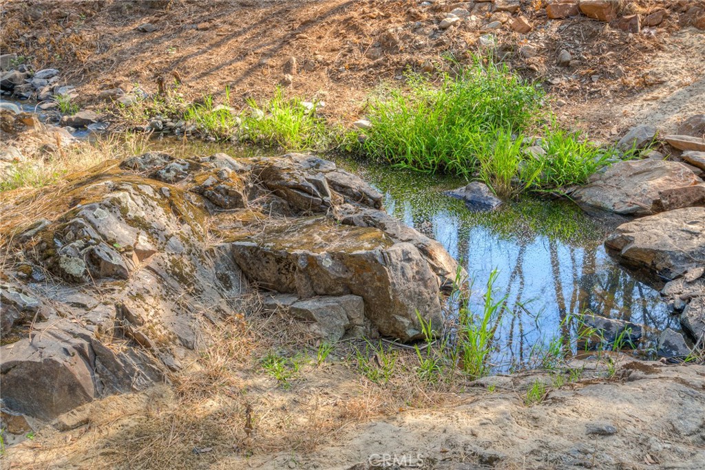 51 Ward Boulevard Property Photo 37
