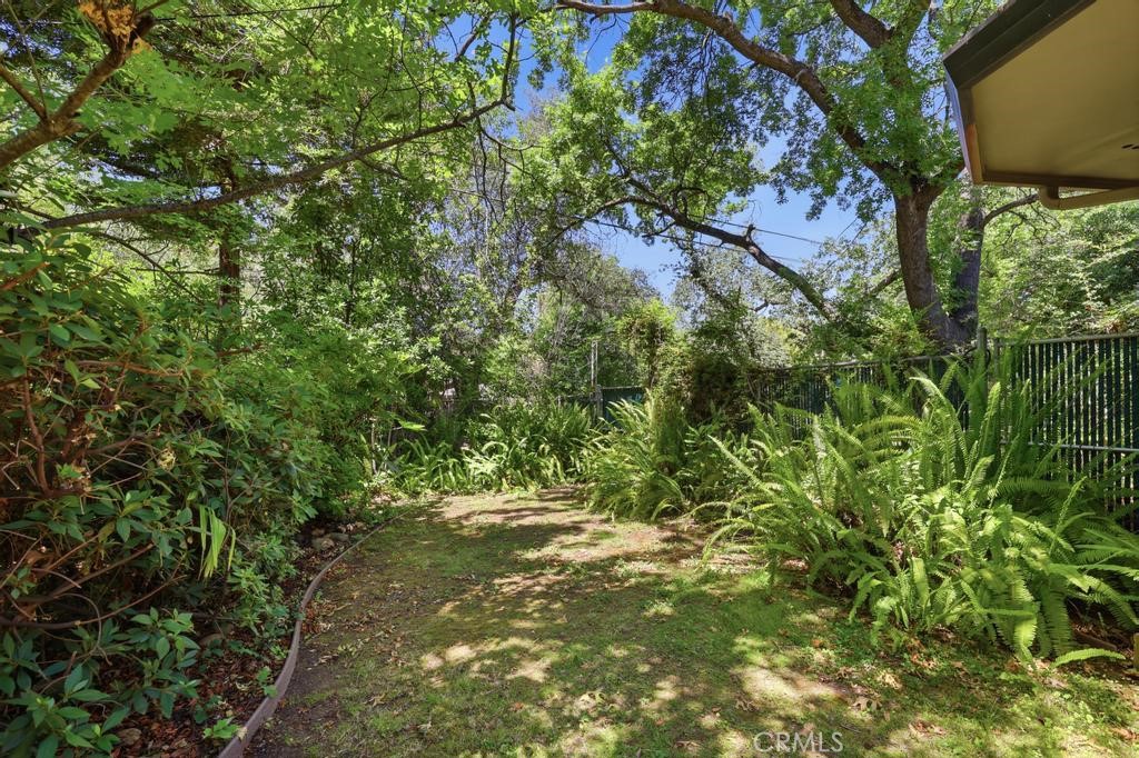 55 Pine Oaks Road Property Photo 39