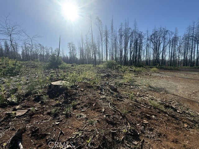 1722 Vilas Road Property Photo 3