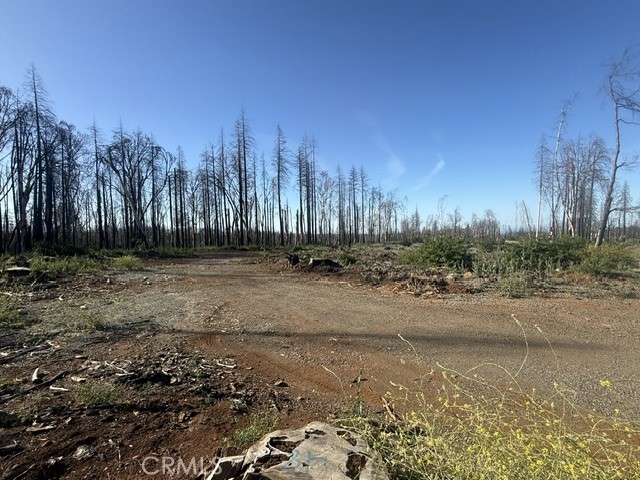 1722 Vilas Road Property Photo 4