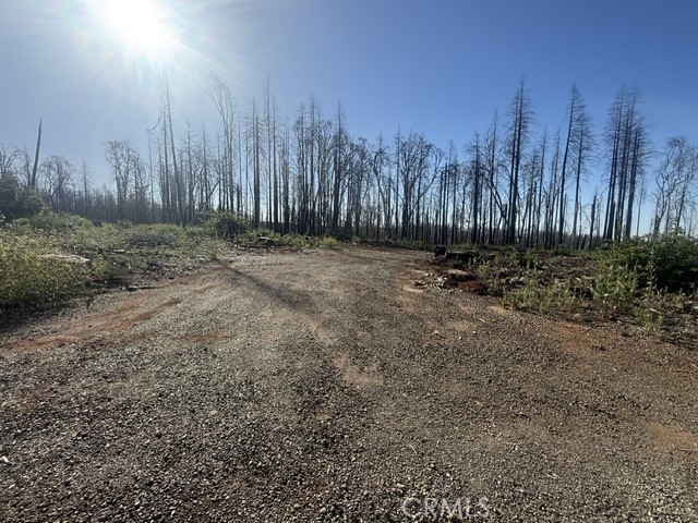 1722 Vilas Road Property Photo 5