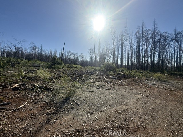 1722 Vilas Road Property Photo 9