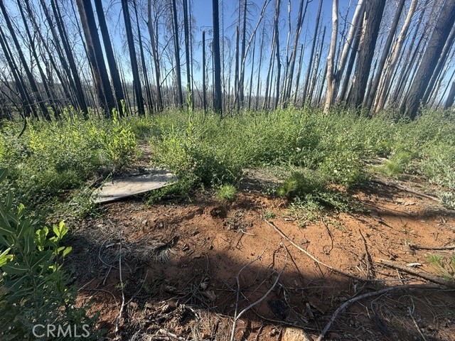 1722 Vilas Road Property Photo 13