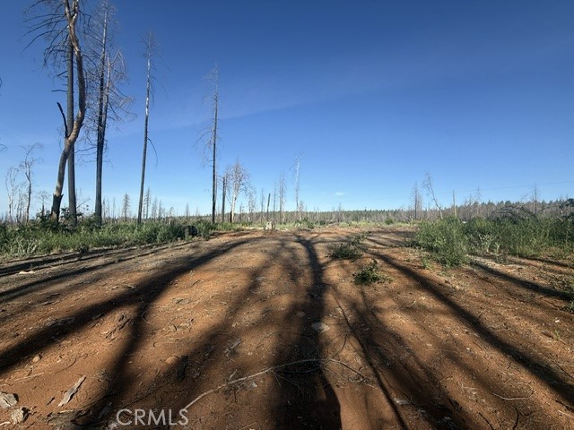 1722 Vilas Road Property Photo 17