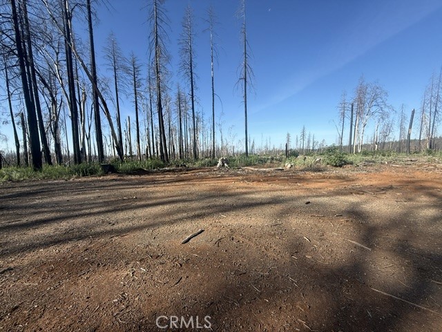 1722 Vilas Road Property Photo 18