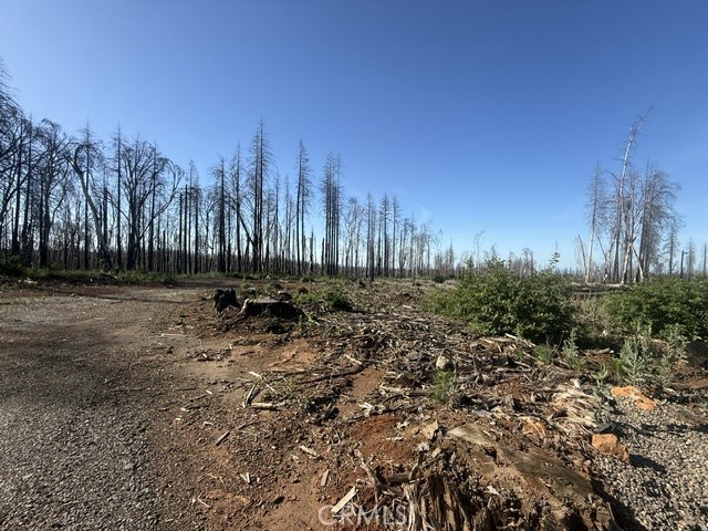 1722 Vilas Road Property Photo 19