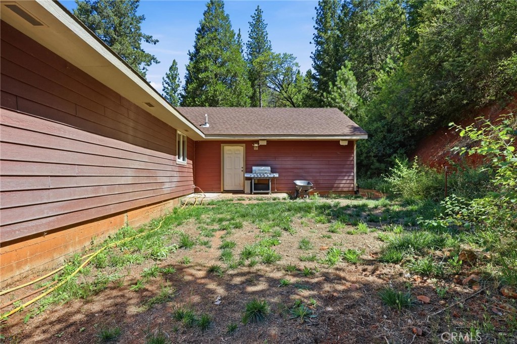 40 White Fir Property Photo 43