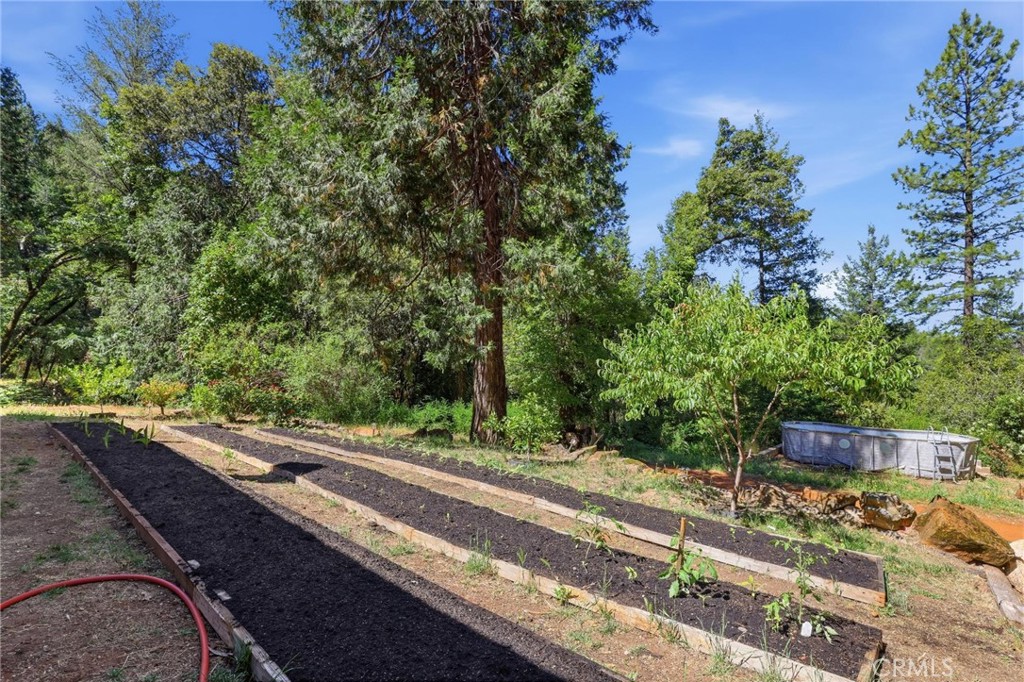 40 White Fir Property Photo 45