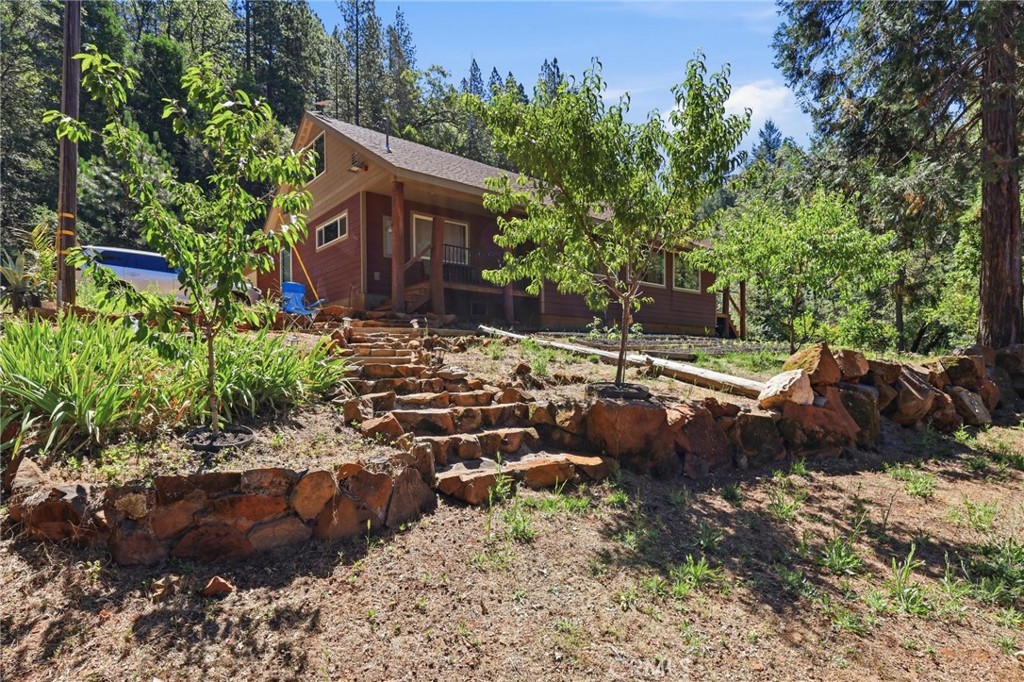40 White Fir Property Photo 46