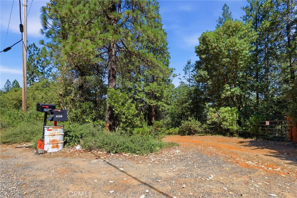 40 White Fir Property Photo 48