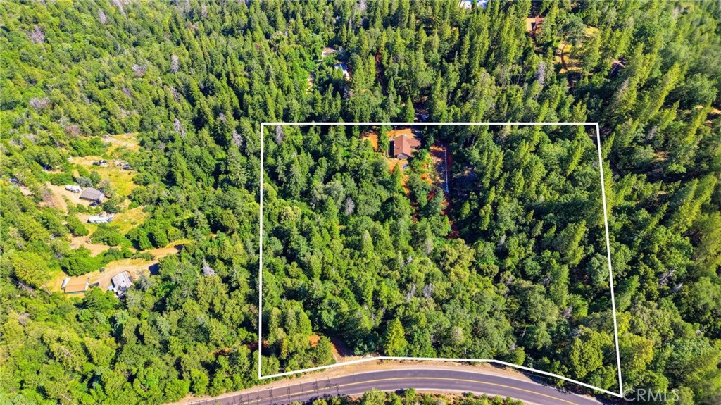 40 White Fir Property Photo 50