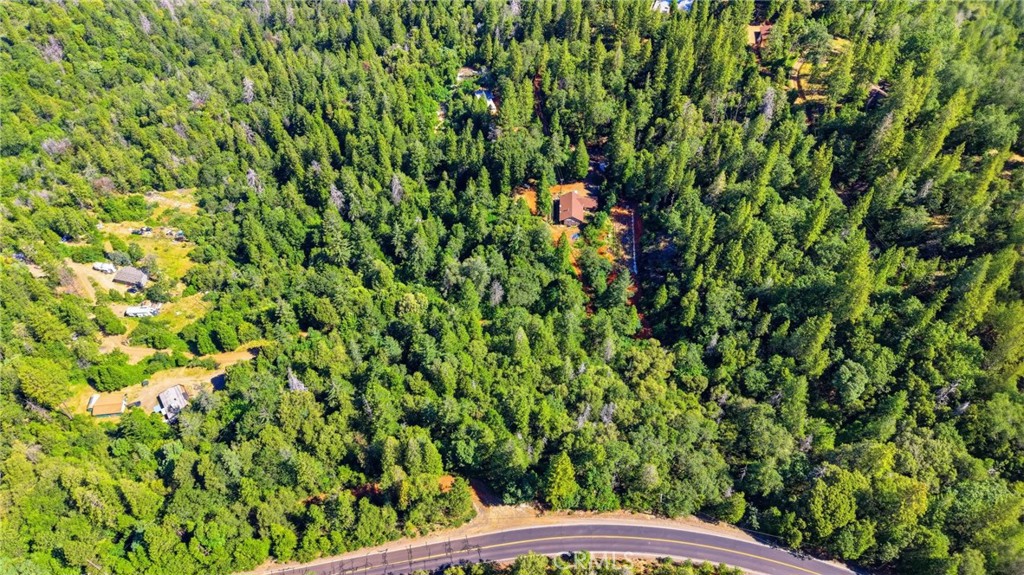 40 White Fir Property Photo 51