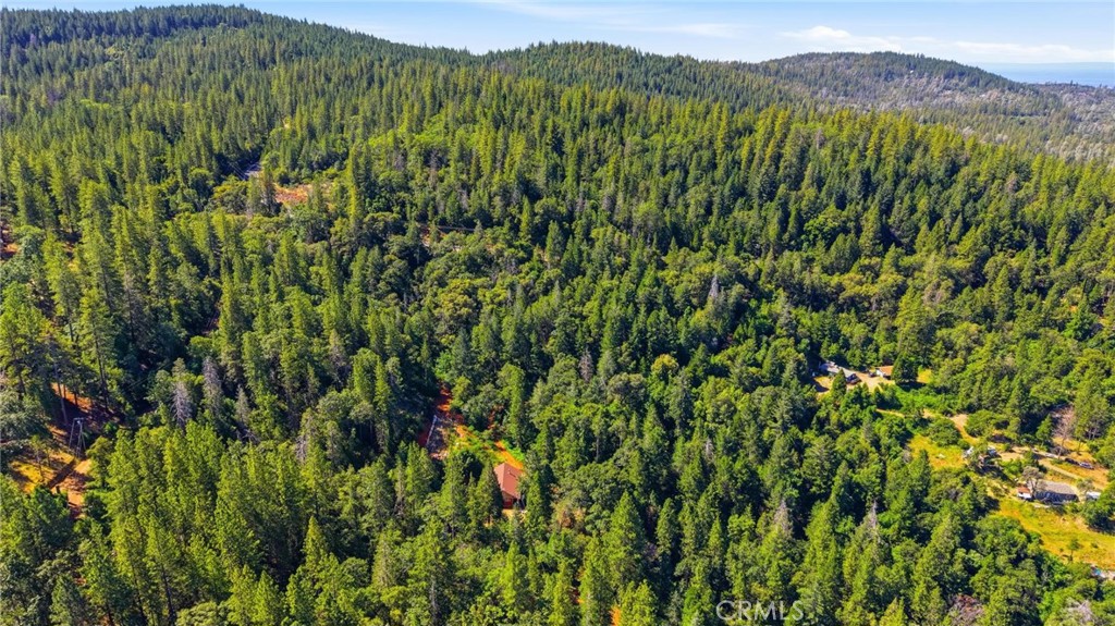 40 White Fir Property Photo 53