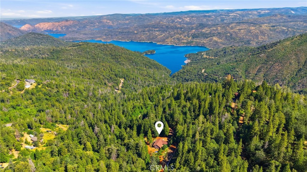 40 White Fir Property Photo 54