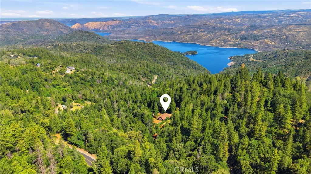 40 White Fir Property Photo 55