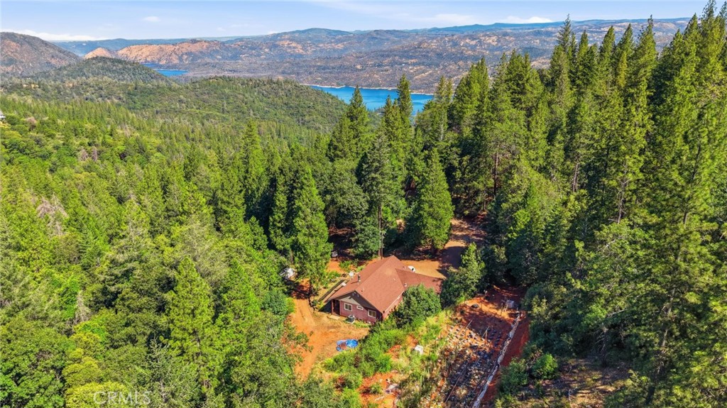 40 White Fir Property Photo 57