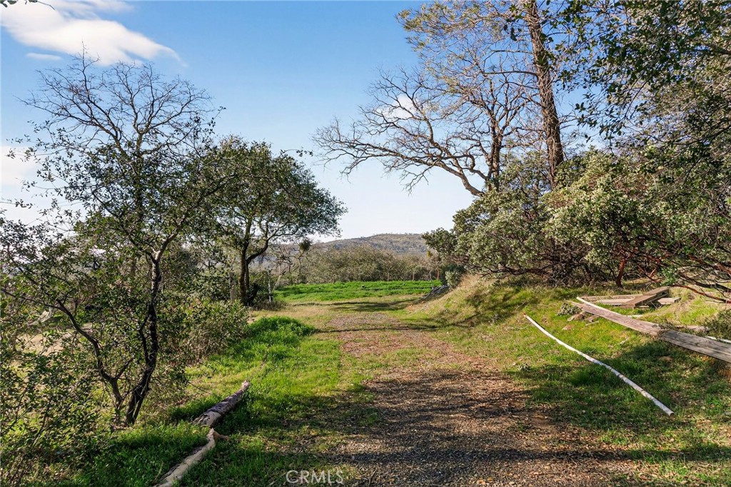 317 Sandra Property Photo 4