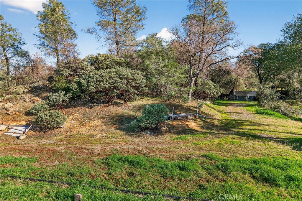 317 Sandra Property Photo 6