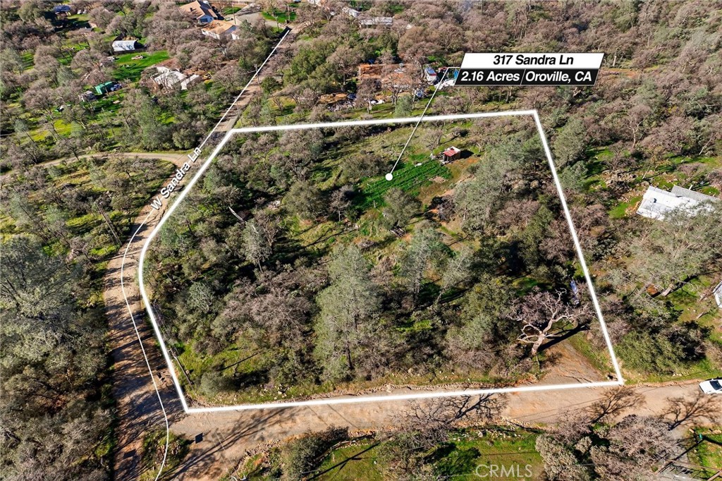 317 Sandra Property Photo 8